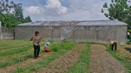 Dukung Program Asta Cita Polresta Sidoarjo Rangkul Bumdes Gelorakan Swasembada Pangan