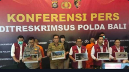 Nekat Selundupkan 13 Penyu Hijau Polda Bali Amankan WW Asal Abiansemal