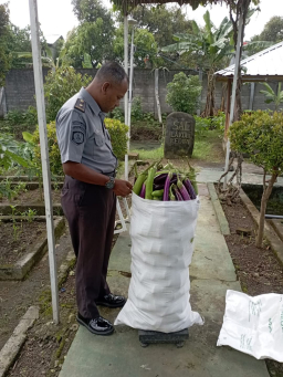 Panen Terong 180 Kg, SAE Lapas Kediri Wujudkan Pembinaan dan Ketahanan Pangan